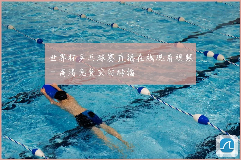 世界杯乒乓球赛直播在线观看视频 - 高清免费实时转播